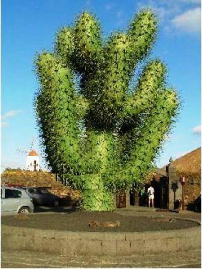 Jard&iacute;n de cactus (Guatiza)